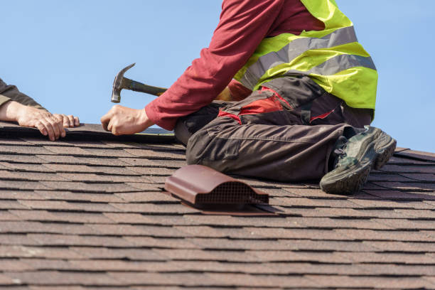 Roof Gutter Cleaning in Roseville, MN