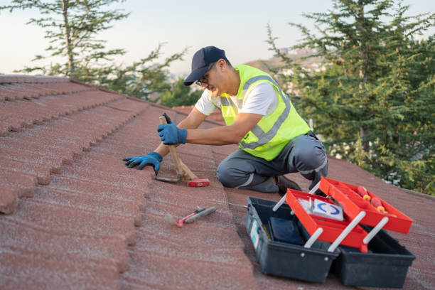 Best Emergency Roof Repair  in Roseville, MN